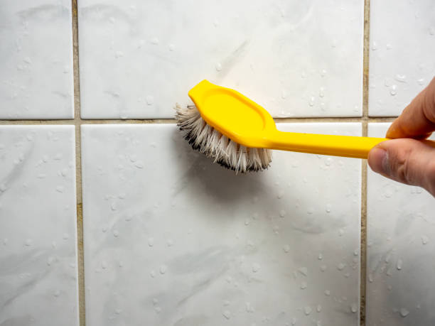Best Local Mold Removal Service  in Lansing, MI