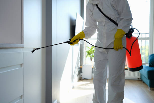 Best Emergency Mold Removal  in Lansing, MI