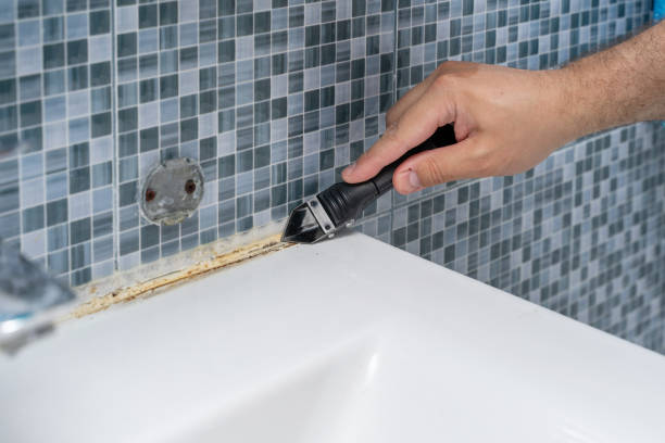Trusted Lansing, MI Mold Removal Experts