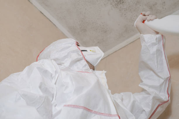 Best Crawl Space Mold Removal  in Lansing, MI