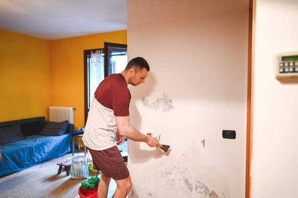 Best Mold Removal Company Near Me  in Lansing, MI