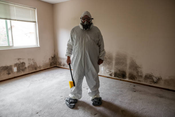 Best Emergency Mold Removal  in Lansing, MI